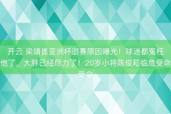 开云 梁靖崑亚洲杯退赛原因曝光！球迷都冤枉他了，大胖已经尽力了！20岁小将陈俊菘临危受命